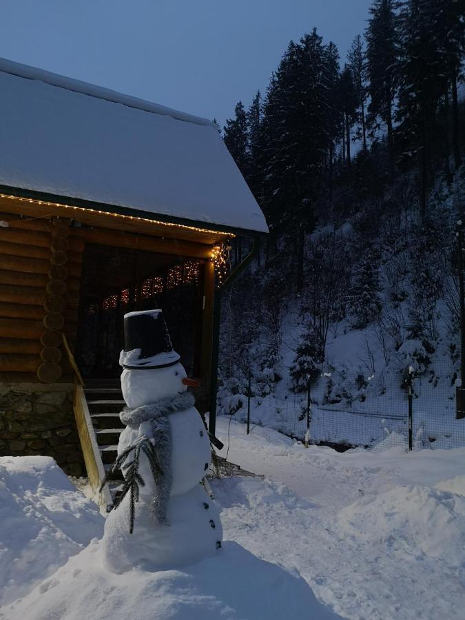 Гостьовий Дім Секвойя Verkhnyaya Bystra Exterior photo